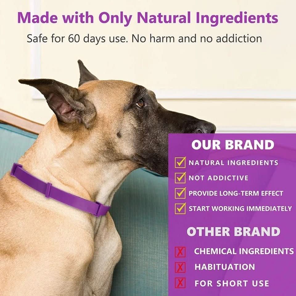 CalmPaws Beruhigungshalsband mit Pheromonen für ängstliche Hunde Stressfreie Entspannung