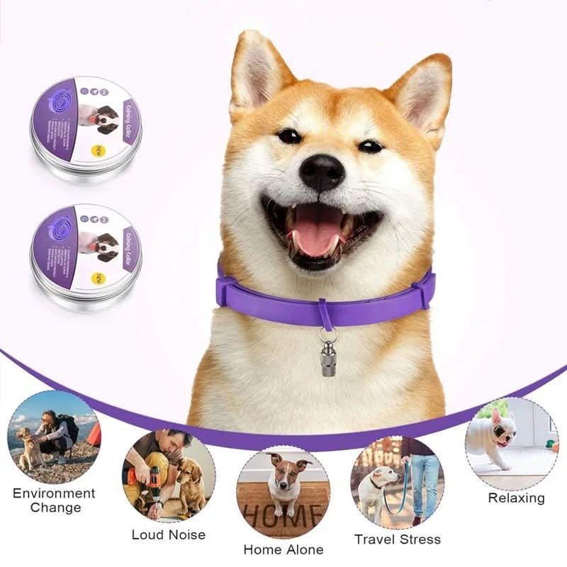 CalmPaws Beruhigungshalsband mit Pheromonen für ängstliche Hunde Stressfreie Entspannung