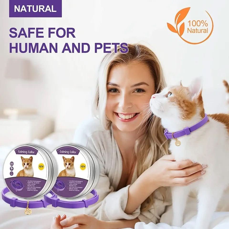 CalmPaws Beruhigungshalsband mit Pheromonen für ängstliche Hunde Stressfreie Entspannung