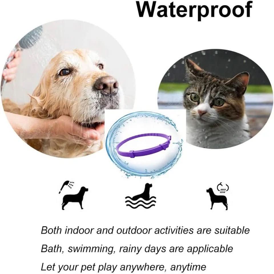 CalmPaws Beruhigungshalsband mit Pheromonen für ängstliche Hunde Stressfreie Entspannung
