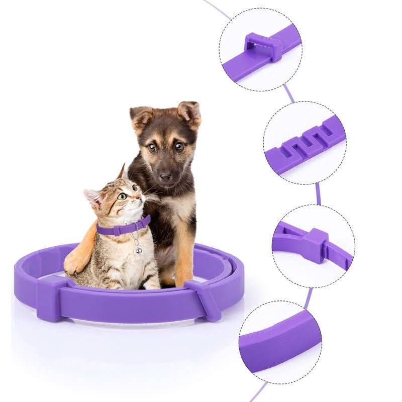 CalmPaws Beruhigungshalsband mit Pheromonen für ängstliche Hunde Stressfreie Entspannung