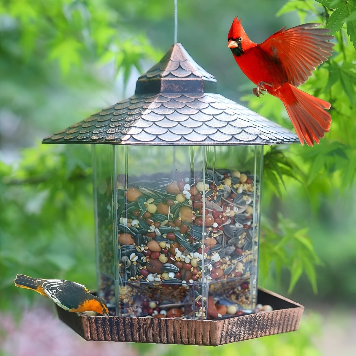 CopperGleam Bird Feeder Elegant Weatherproof Copper Look For Garden And Balcony Decor