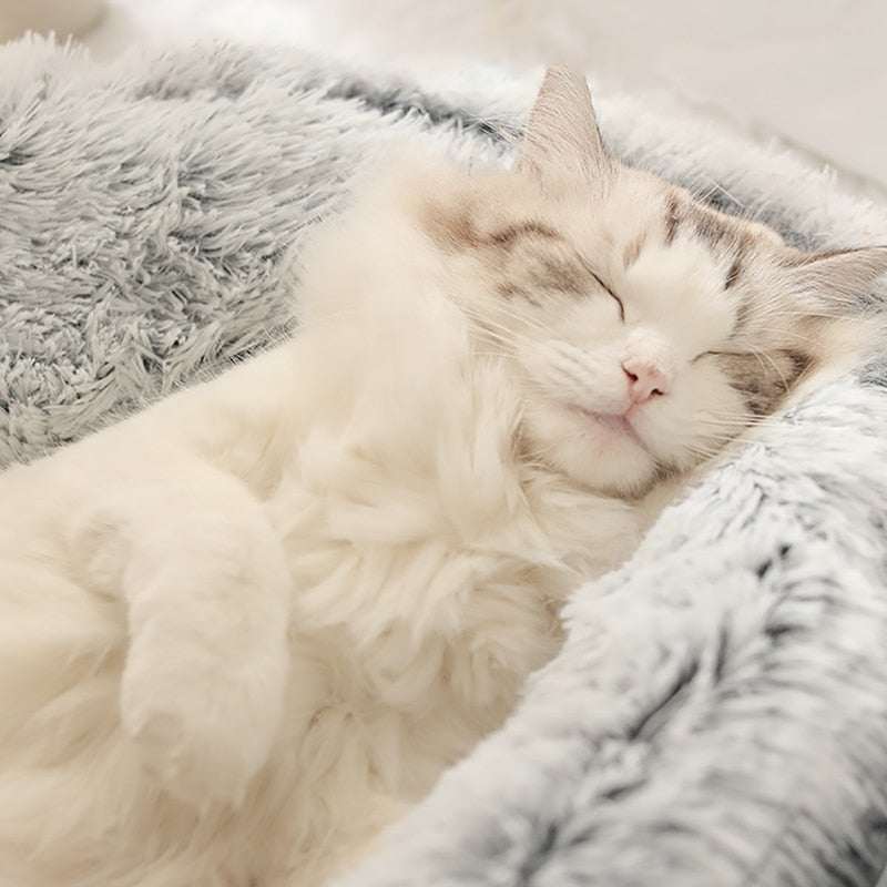 Pawlounge Cozy Cat Shelter Featuring Plush Cushion For Warm Comfort