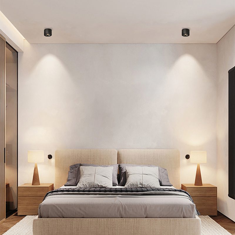NovaLumen Adjustable Cylinder Recessed LED Ceiling Light