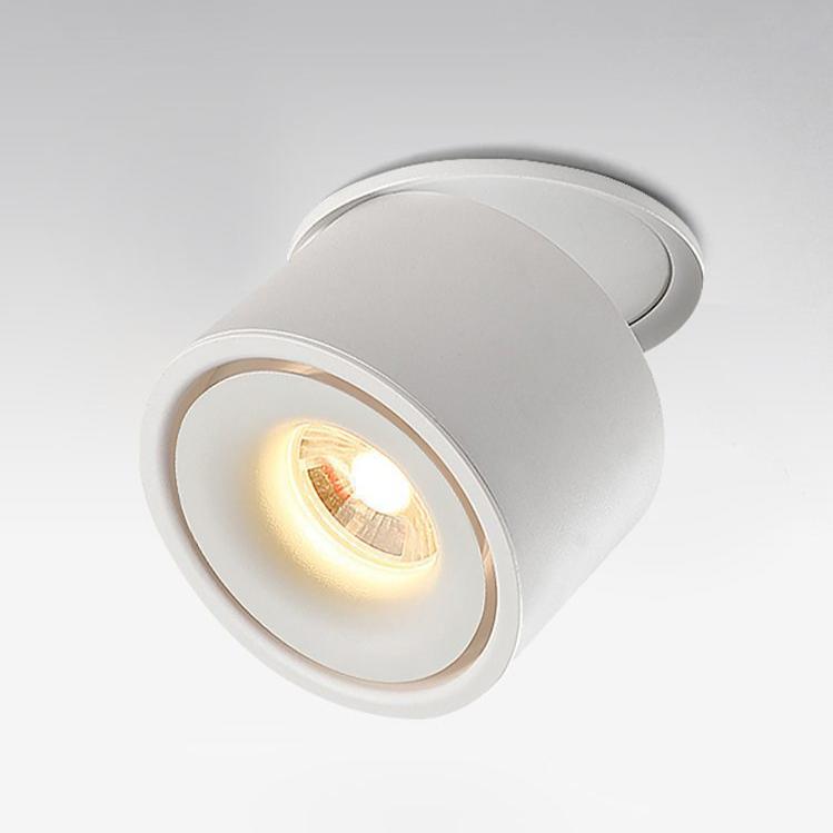 NovaLumen Adjustable Cylinder Recessed LED Ceiling Light