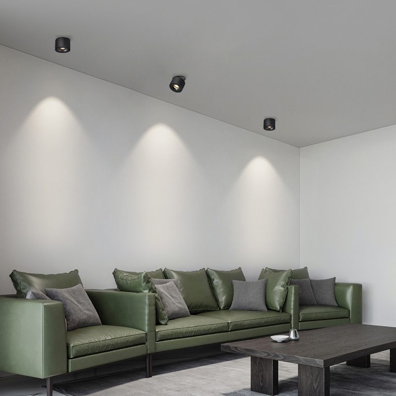 NovaLumen Adjustable Cylinder Recessed LED Ceiling Light