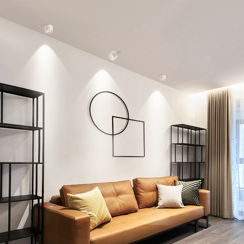 NovaLumen Adjustable Cylinder Recessed LED Ceiling Light