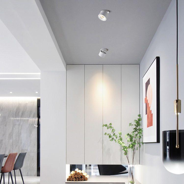 NovaLumen Adjustable Cylinder Recessed LED Ceiling Light