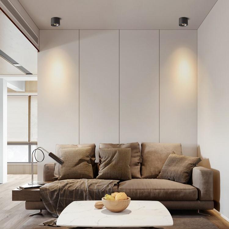 NovaLumen Adjustable Cylinder Recessed LED Ceiling Light