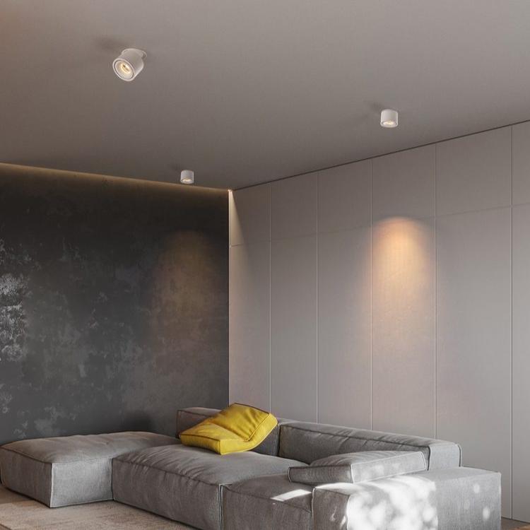 NovaLumen Adjustable Cylinder Recessed LED Ceiling Light