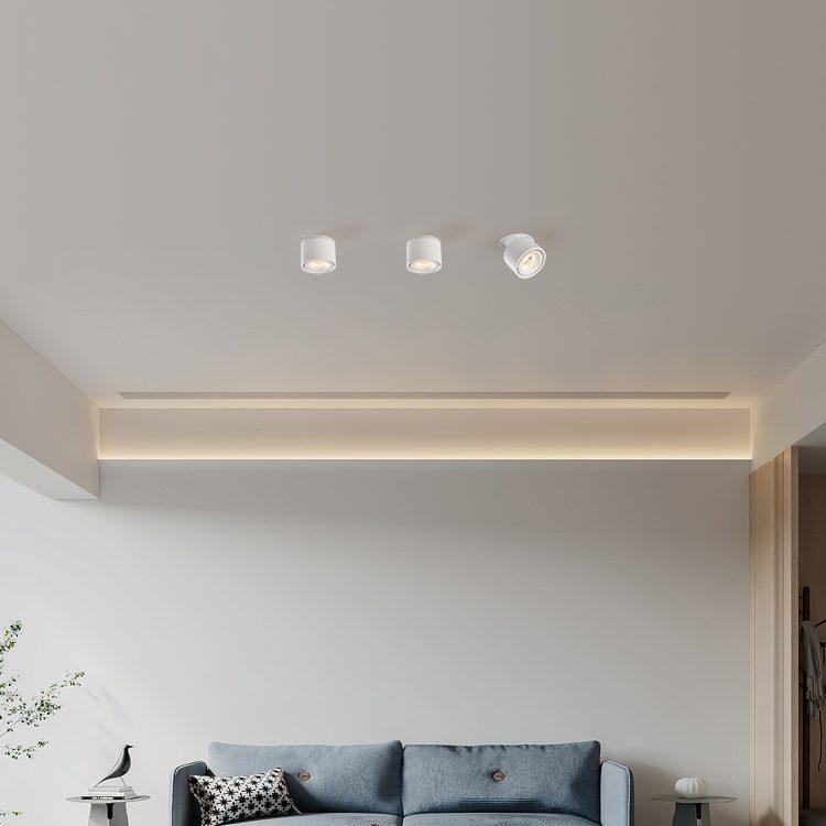 NovaLumen Adjustable Cylinder Recessed LED Ceiling Light