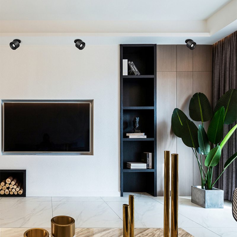 NovaLumen Adjustable Cylinder Recessed LED Ceiling Light