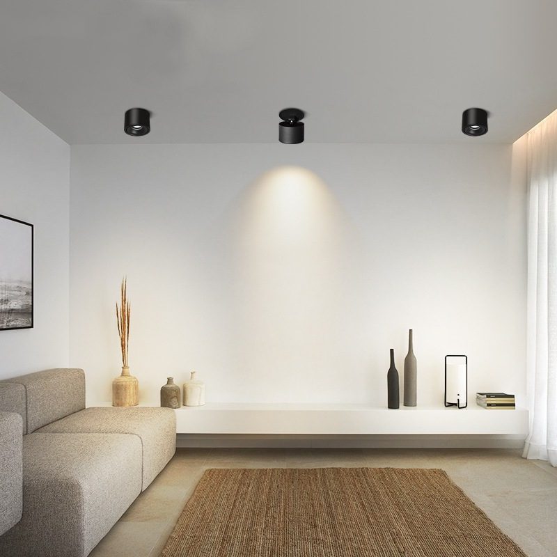 NovaLumen Adjustable Cylinder Recessed LED Ceiling Light