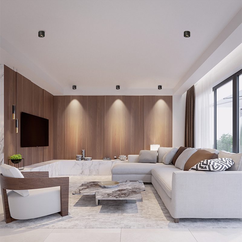 NovaLumen Adjustable Cylinder Recessed LED Ceiling Light