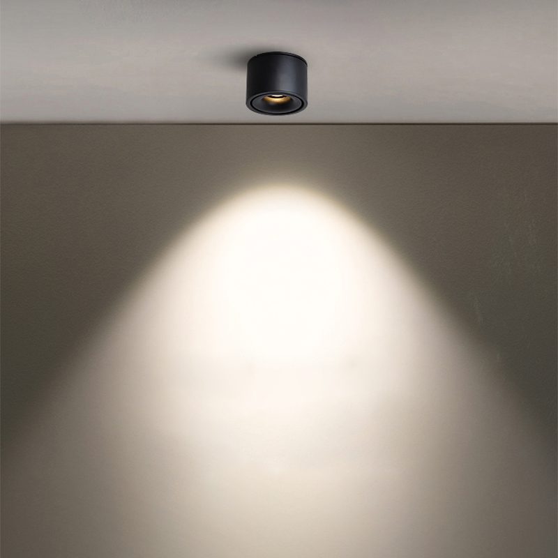 NovaLumen Adjustable Cylinder Recessed LED Ceiling Light