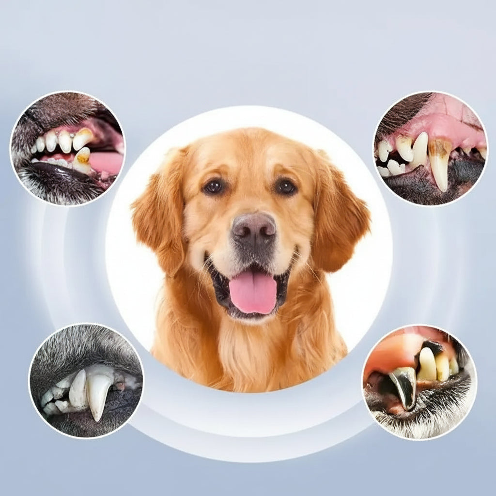 Oralpaw Ultrasonic Pet Teeth Cleaning Device With 5 Care Levels