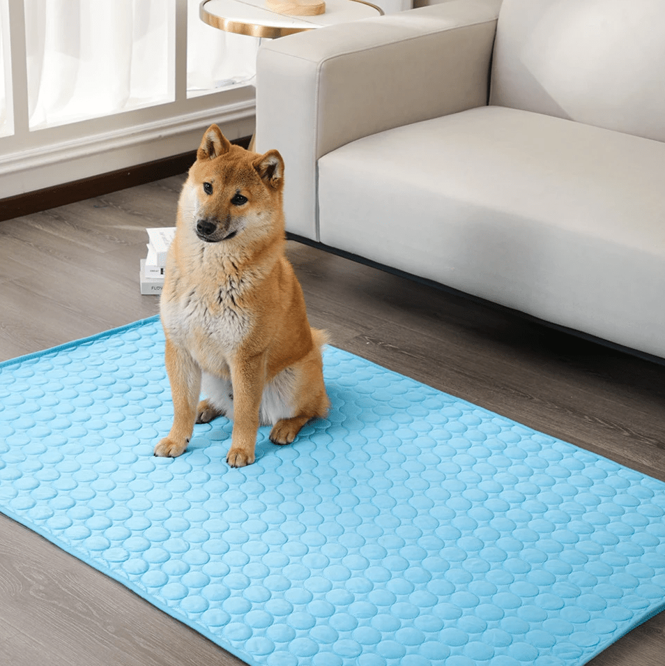 CoolPaws Selbstkühlende Hundematte für Heiße Sommertage Komfort