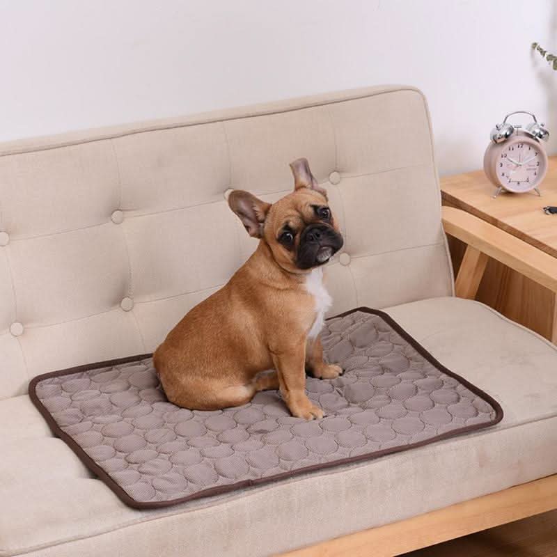 CoolPaws Selbstkühlende Hundematte für Heiße Sommertage Komfort