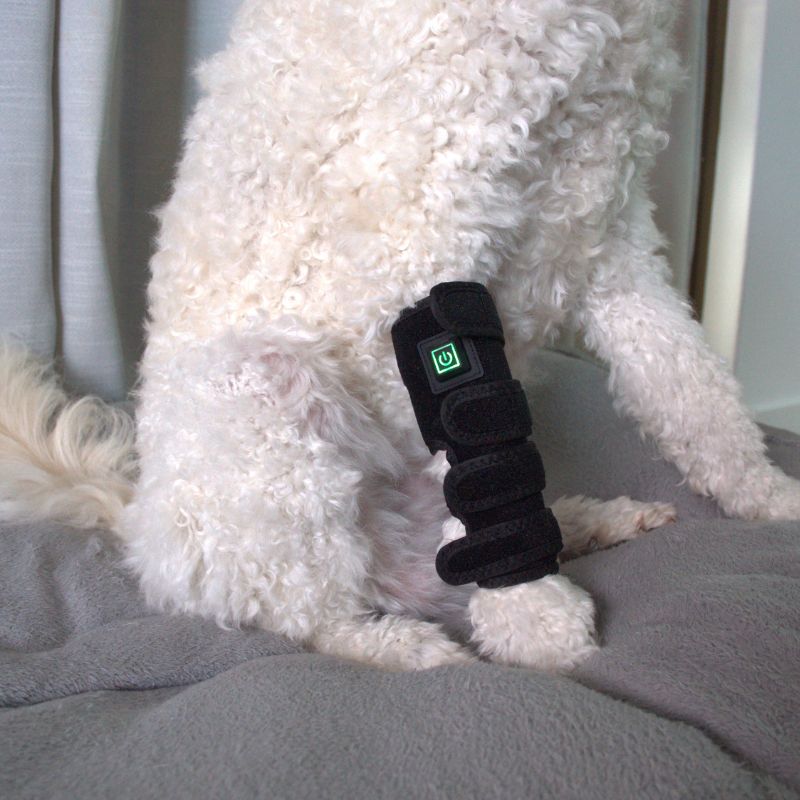 Red Light Duo Daily Leg Wrap Dogs Home Comfort At Home