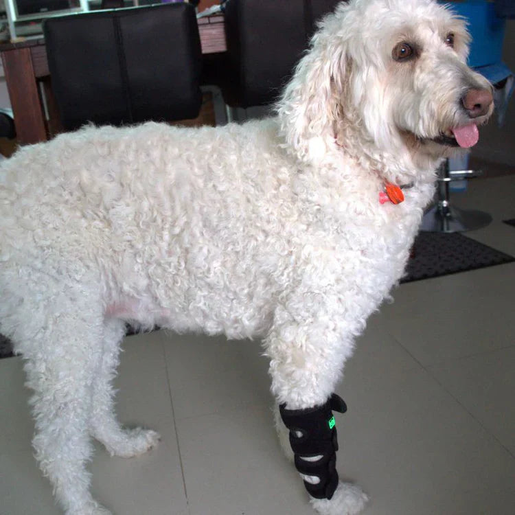 Red Light Duo Daily Leg Wrap Dogs Home Comfort At Home