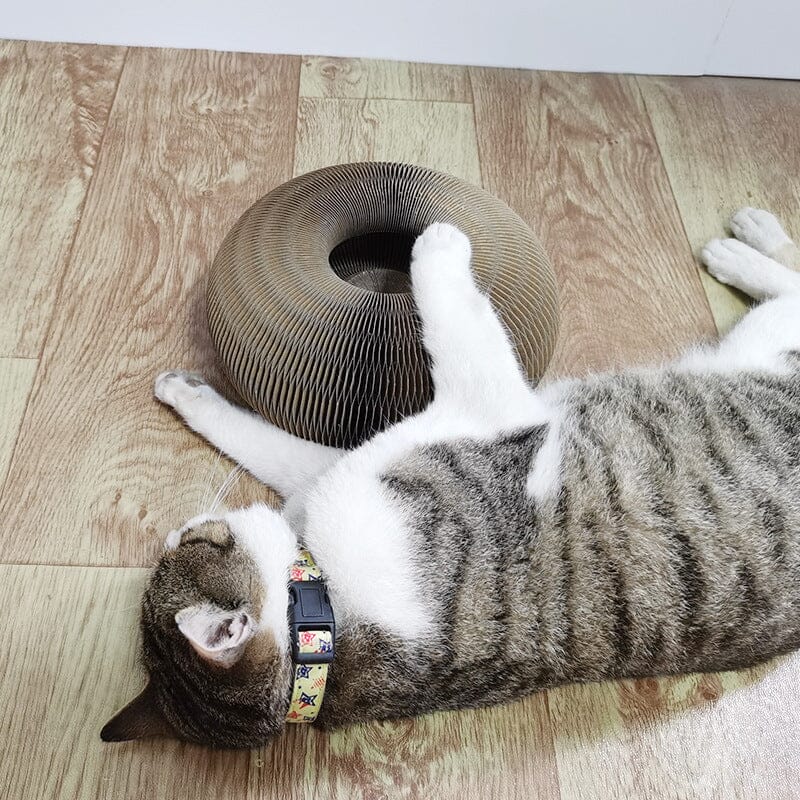 PurrNest Eco-Friendly Natural Hunting Simulator For Active Cats
