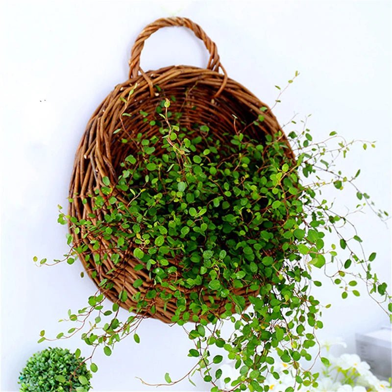 Willow Harmony-korg för dekorativ förvaring hemma