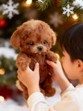 PexoPup Battery Powered Plush Toy Robot Puppy That Walks And Barks
