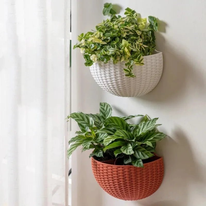 Vaso da parete Verdanta in stile vimini per verde verticale