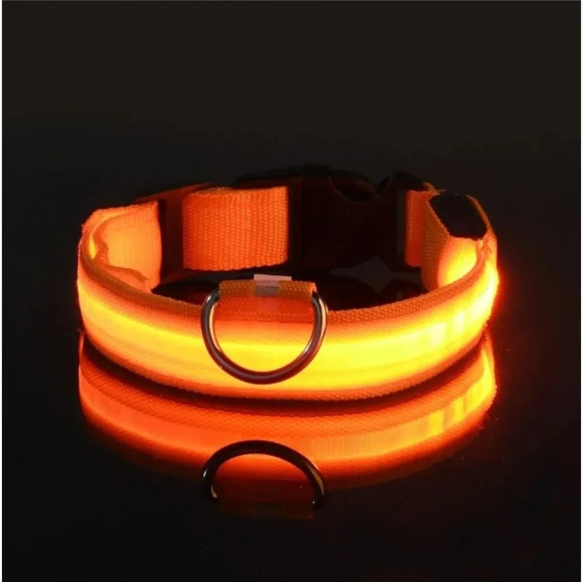 LumaPaw LED-säkerhetshalsband för hund med 360 graders synlighet och justerbar passform