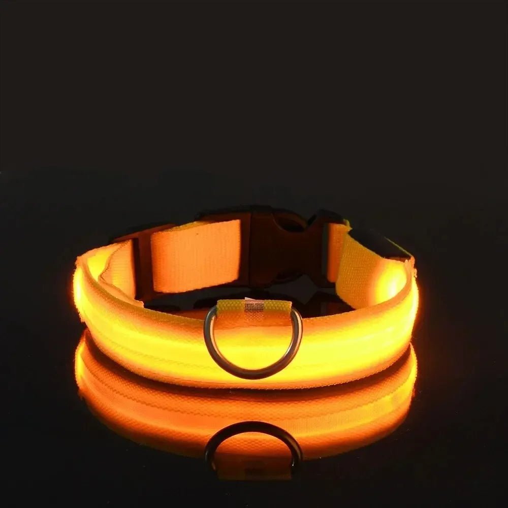 LumaPaw LED-säkerhetshalsband för hund med 360 graders synlighet och justerbar passform