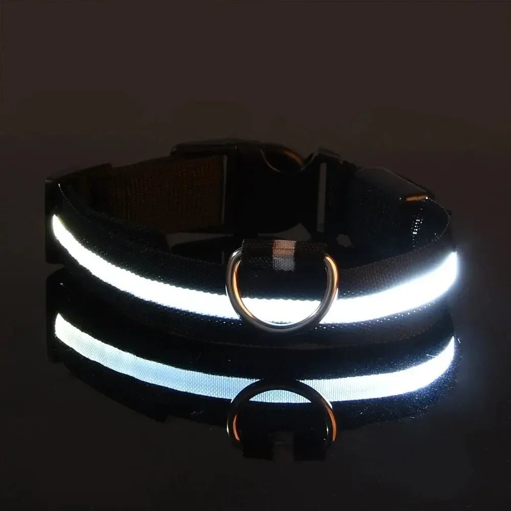 LumaPaw LED-säkerhetshalsband för hund med 360 graders synlighet och justerbar passform