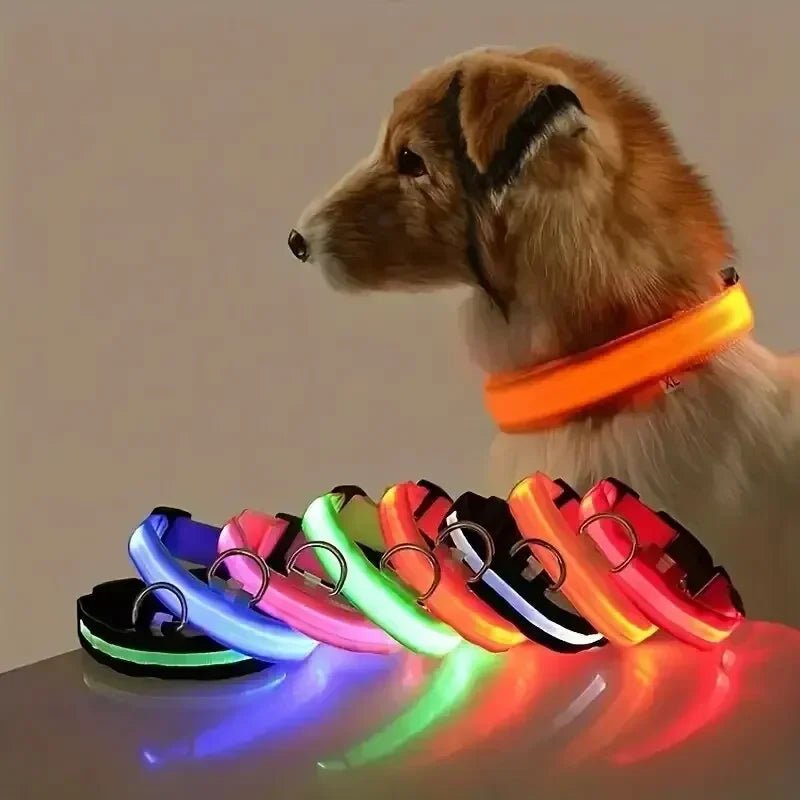 LumaPaw LED-säkerhetshalsband för hund med 360 graders synlighet och justerbar passform