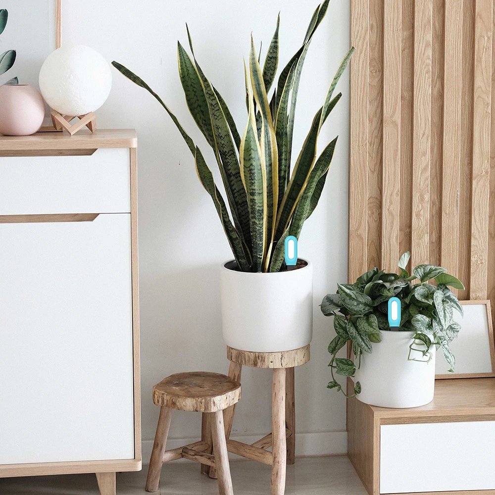 BrightGrow smart jordtester med realtidsmonitorering til gartnere