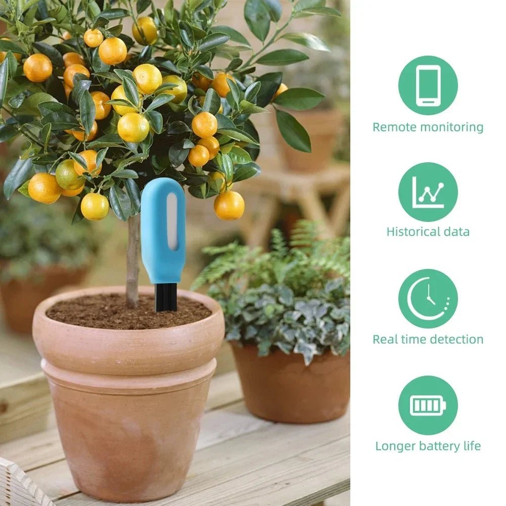 BrightGrow smart jordtester med realtidsmonitorering til gartnere