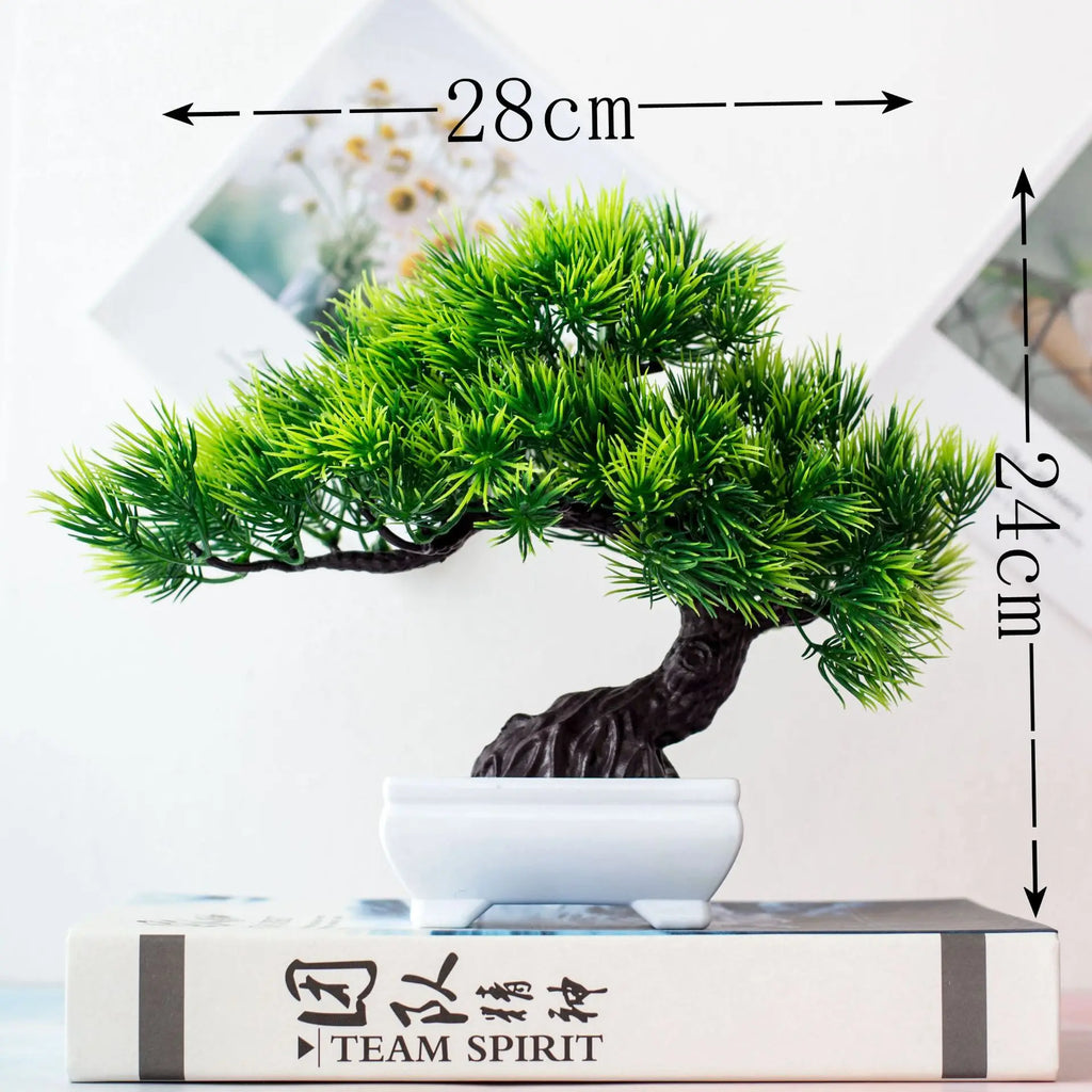 أوعية بونساي صغيرة للمكتب لتزيين غرفة المعيشة والمكتب المنزلي