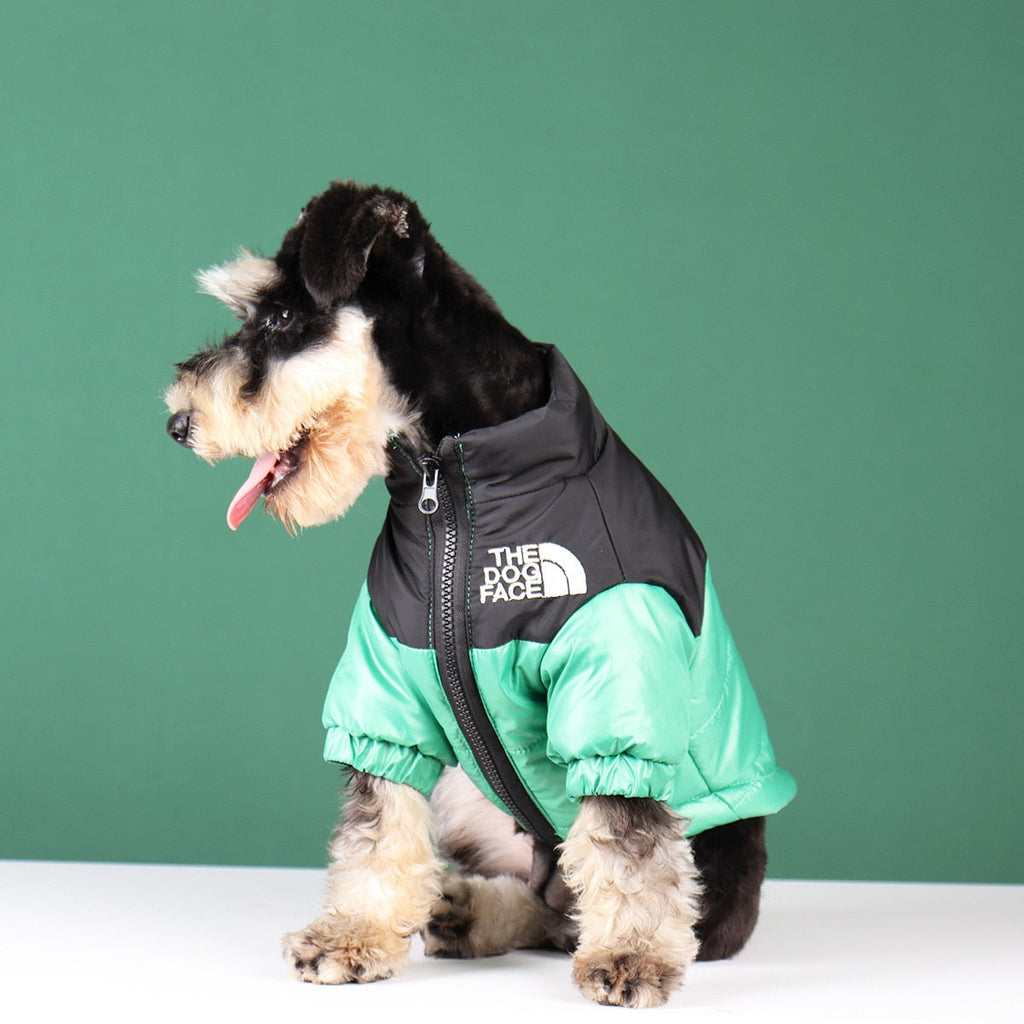 Type A Dog Face Jacket For Dogs In Black Green Pink Orange | Atiets