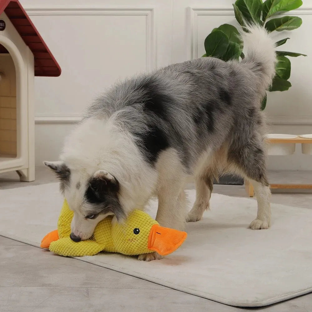 Quelland Calming Plush Toy For Comfort And Enrichment