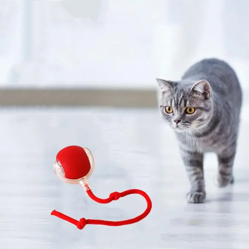 Pawsplay interaktiv kattelegetøjsbold med flere tilstande og holdbart silikone