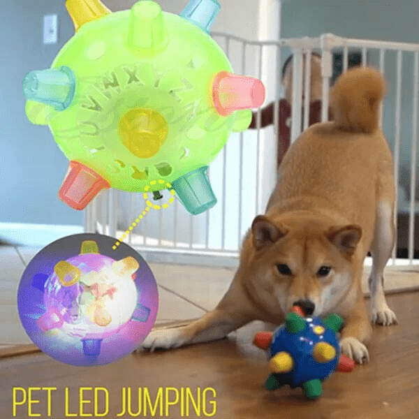 LumenPaw Interactive LED Jumping Ball For Dogs Unpredictable Fun And Active Play