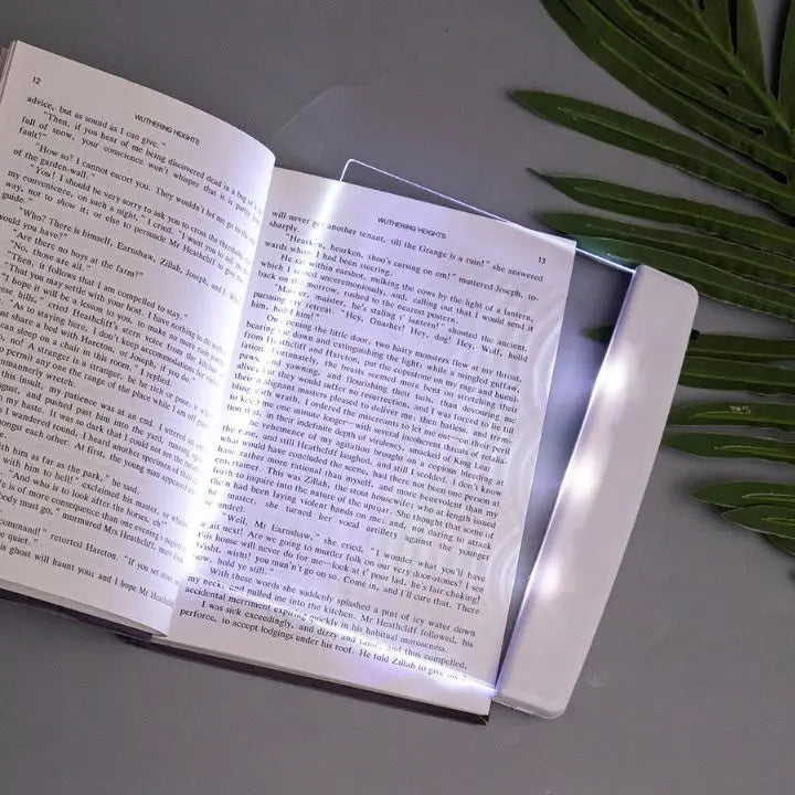 Compact LED Reading Light With Dual Brightness Levels