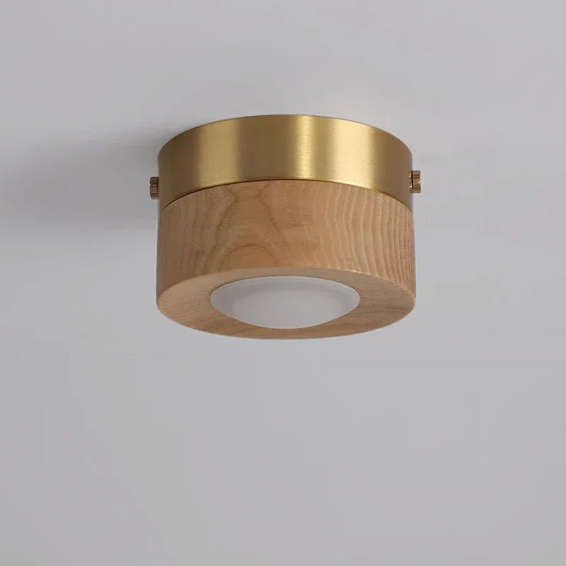 VerdantGlow Ceiling Spotlight For Modern Living Areas