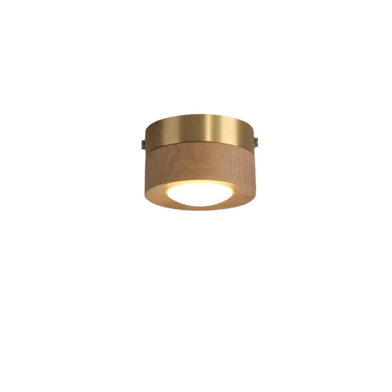 VerdantGlow Ceiling Spotlight For Modern Living Areas