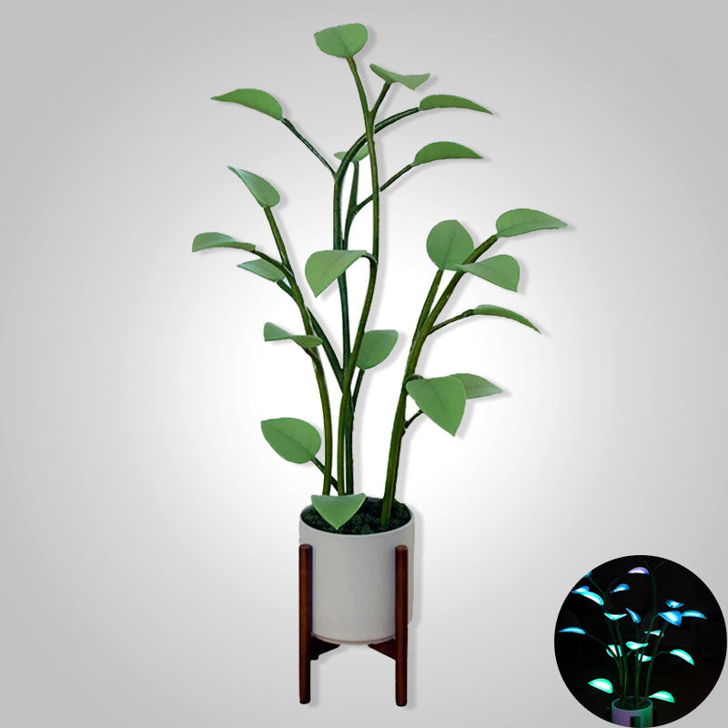 Farveskiftende LED-plante lampe fra Luminous Bloom Glow