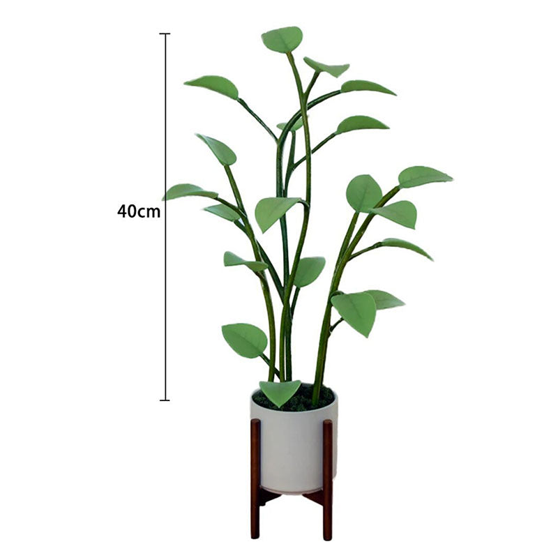 Farveskiftende LED-plante lampe fra Luminous Bloom Glow