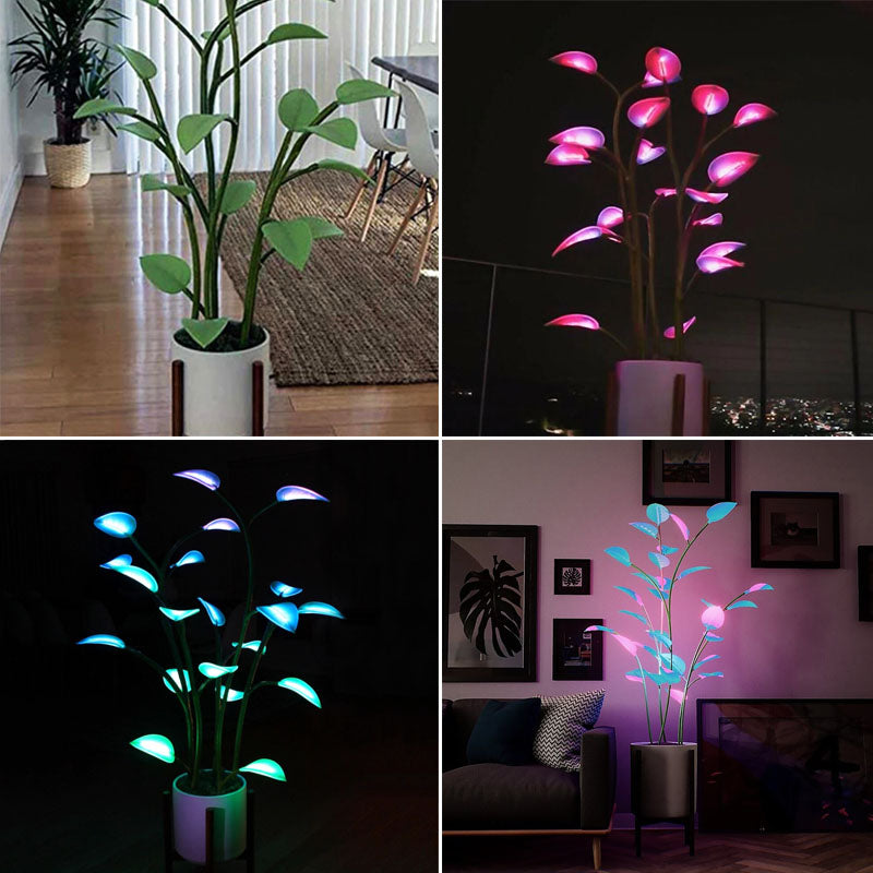 Farveskiftende LED-plante lampe fra Luminous Bloom Glow