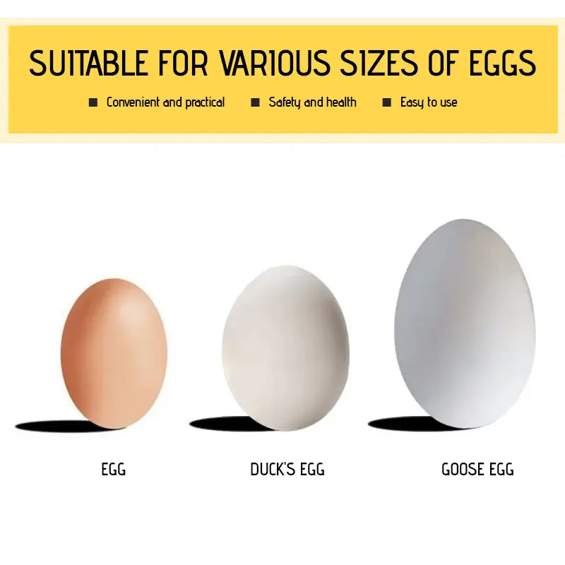 Eggåpner i rustfritt stål for bløtkokte og frokostegg Kjøkkengadget