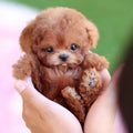 AstraPup Cachorro Robótico Inteligente: Camina, Ladra y Mueve la Cola para Niños