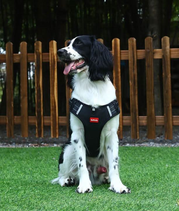 Arnés CalmStride Antitirones para Perros para Paseos Sin Dolor