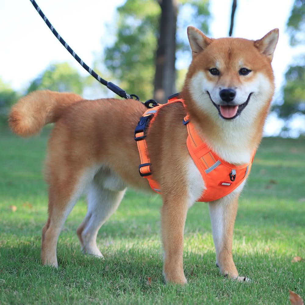Arnés CalmStride Antitirones para Perros para Paseos Sin Dolor