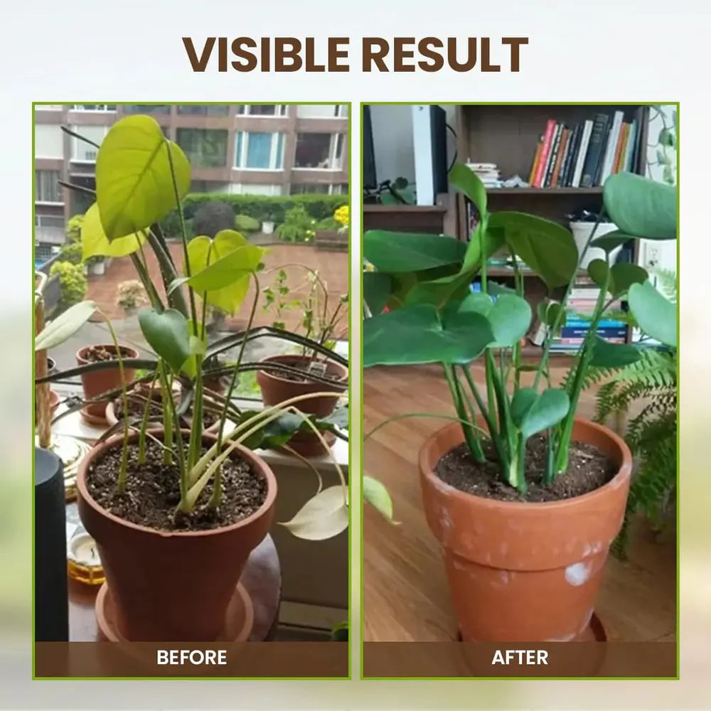 Attivatore di terreno biologico per favorire una crescita vigorosa delle piante